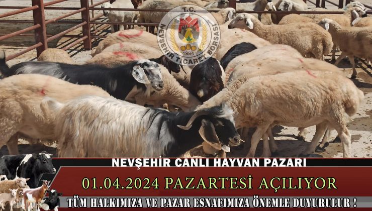 Nevşehir Hayvan Pazarı Açılıyor!