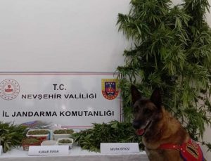Ürgüp ve Acıgöl’de Uyuşturucu ve uyarıcı madde yakalandı