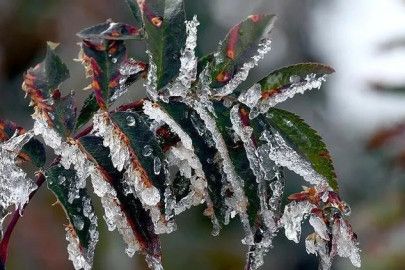 Meteoroloji’den ’Zirai Don’ Uyarısı