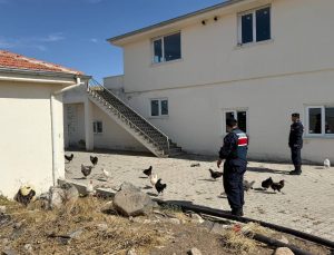 Ürgüp’te Kümes Hayvanı Hırsızlığı Aydınlatıldı