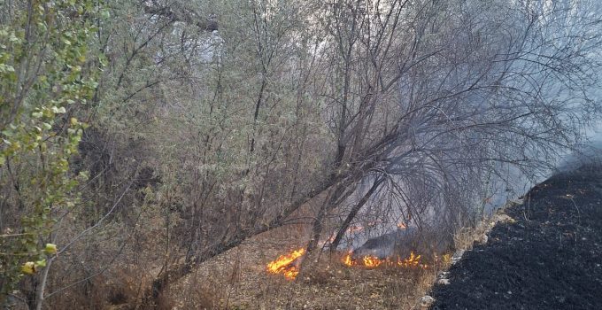 Mangal İçin Yakılan Ateş Yangına Sebep Oldu