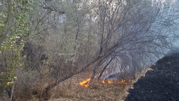 Mangal İçin Yakılan Ateş Yangına Sebep Oldu