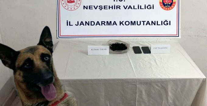 Nevşehir’de Jandarmadan Uyuşturucu Operasyonu