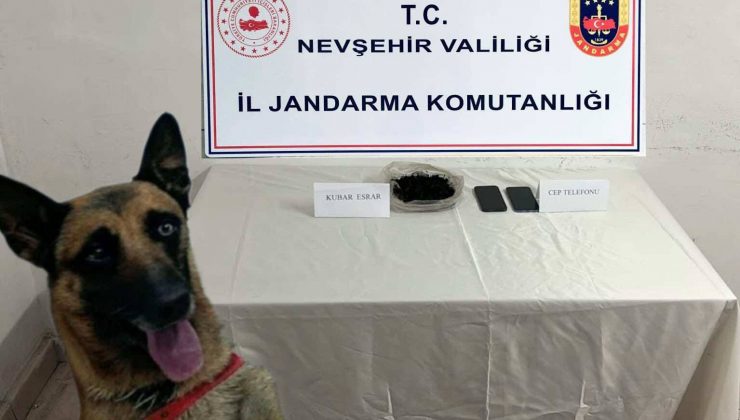 Nevşehir’de Jandarmadan Uyuşturucu Operasyonu