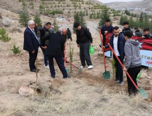 100. Yıl Eğitim Ormanı Oluşturuldu