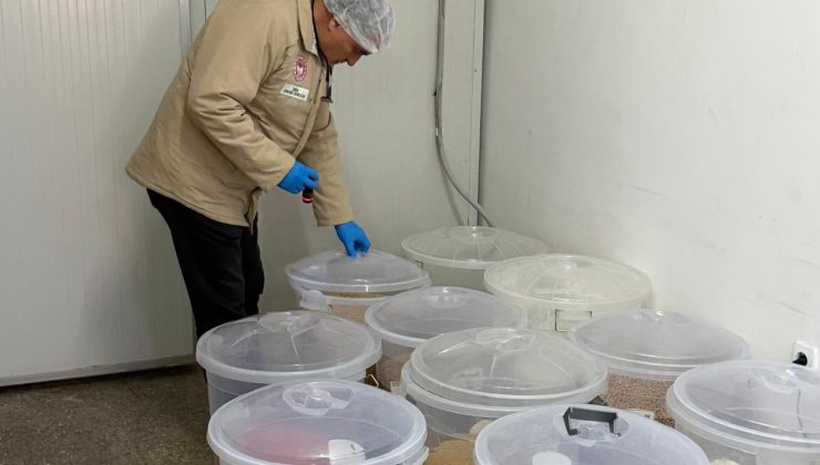 Gıda İşletmelerinde Denetimler Aralıksız Sürüyor