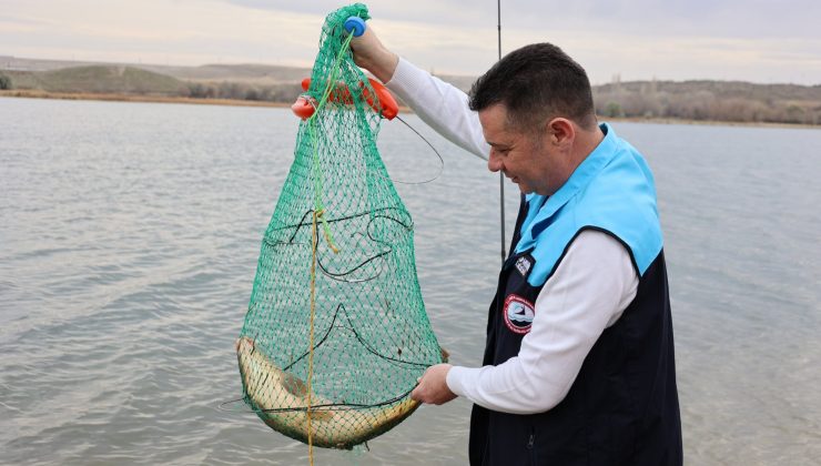 Nevşehir’de Su Ürünleri Denetimleri Devam Ediyor
