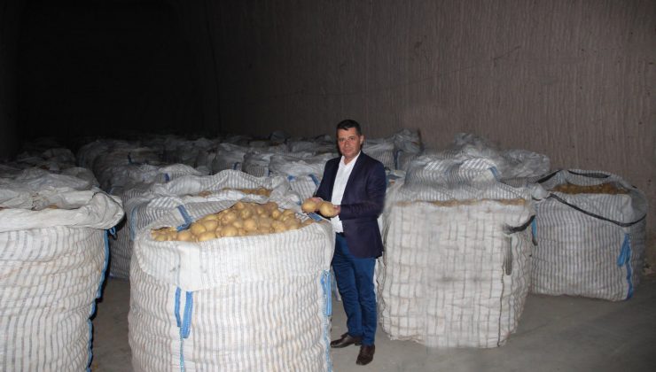 Tohumluk Patates Sertifikasyon Çalışmaları Sürüyor