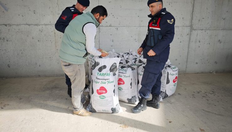 Çalınan Kabak Çekirdekleri Jandarma Tarafından Bulundu