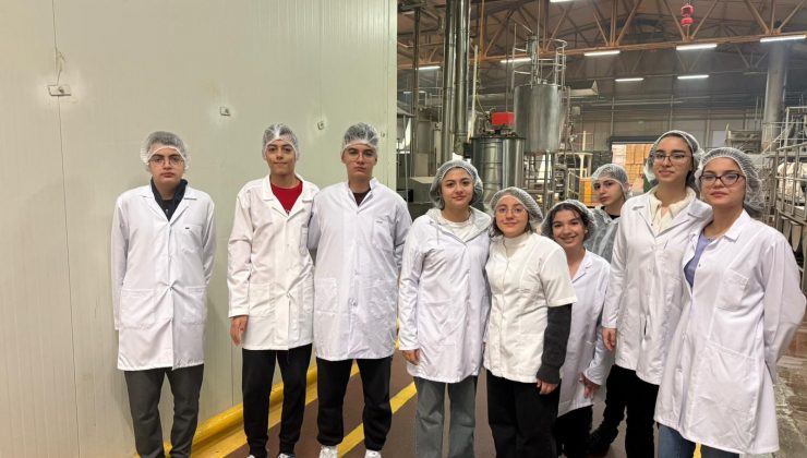 Kardelenli Fen Lisesi Öğrencileri Kimya Dersini Fabrikada İşledi