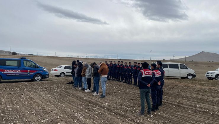 Kaymaklı’da Jandarma Köpek Dövüşü Girişimini Önlendi: 19 Kişi Hakkında İşlem