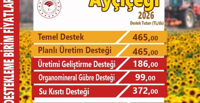 2026 Üretim Yılı Ayçiçeği Destekleri Açıklandı