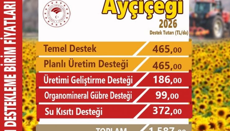 2026 Üretim Yılı Ayçiçeği Destekleri Açıklandı