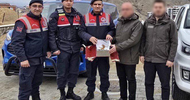 Nevşehir’de İzinsiz İguana Besleyen Şahsa 15 Bin TL Ceza