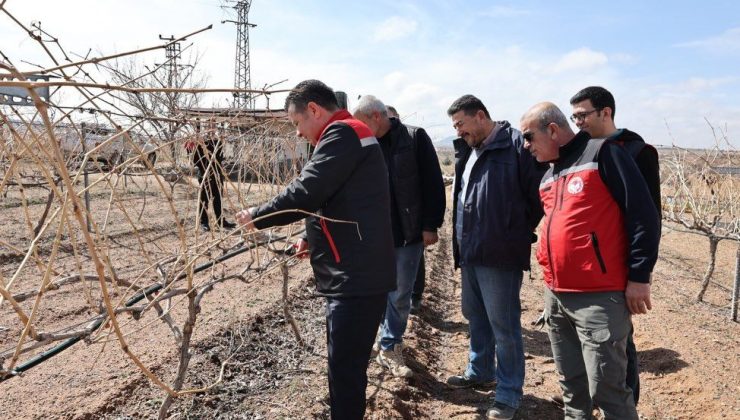 Nevşehir’de Bağlarda Budama Sezonu Başladı