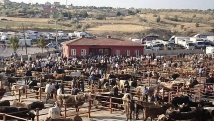 Nevşehir Ticaret Borsası Hayvan Pazarı Hizmete Açıldı