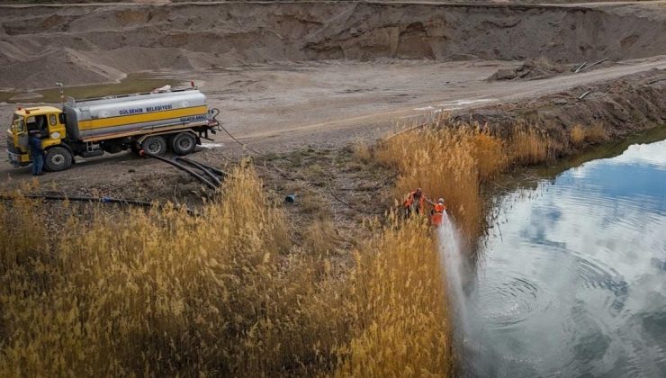 Gülşehir’de Sivrisinekle Mücadelede Erken Müdahale!