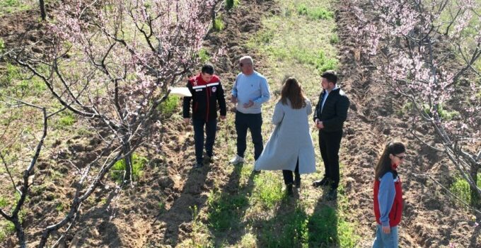 Nevşehir’de Zirai Don Alarmı: Ekipler Sahada
