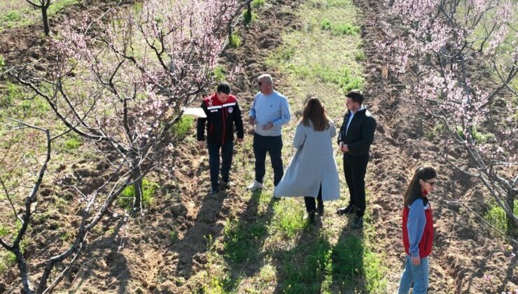Nevşehir’de Zirai Don Alarmı: Ekipler Sahada