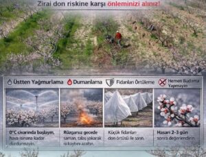 Nevşehir’de Zirai Don Uyarısı: Çiftçilere Kritik Önlem Çağrısı