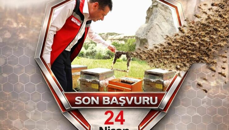 Nevşehir’de Arılı Kovan Desteği Başvuruları Sürüyor