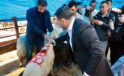 Başkan Rasim Arı, Nevşehir Hayvan Pazarını Ziyaret Etti