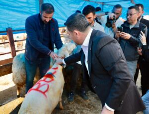 Başkan Rasim Arı, Nevşehir Hayvan Pazarını Ziyaret Etti