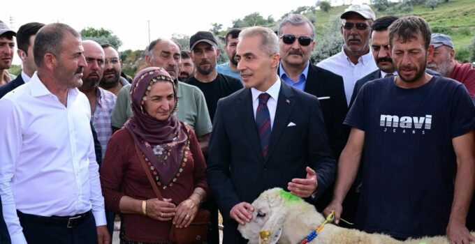 Nevşehir’de Yetiştiricilere 100 Baş Damızlık Koç Desteği