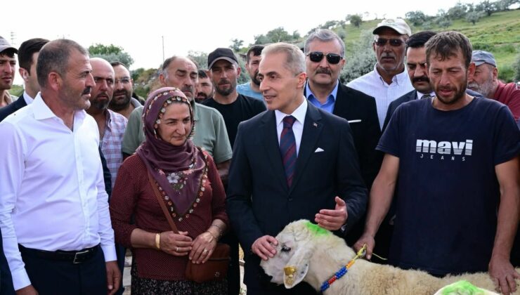 Nevşehir’de Yetiştiricilere 100 Baş Damızlık Koç Desteği