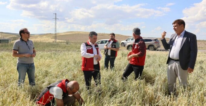Nevşehir’de Aşırı Yağış ve Dolu Sonrası Hasar Tespit Çalışmaları Sürüyor