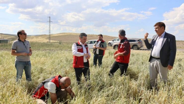 Nevşehir’de Aşırı Yağış ve Dolu Sonrası Hasar Tespit Çalışmaları Sürüyor