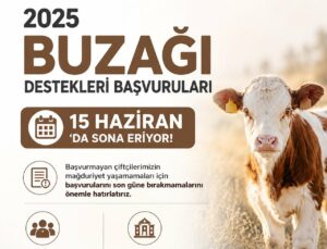 Buzağı Destekleme Başvurularında Son Gün 15 Haziran