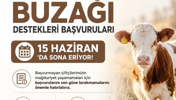 Buzağı Destekleme Başvurularında Son Gün 15 Haziran