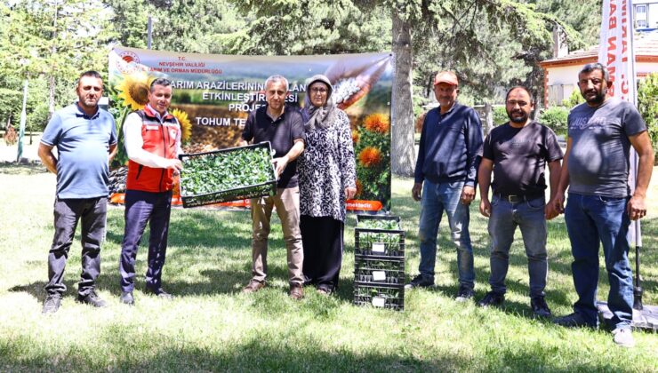 Üreticilere Yüzde 75 Hibeli Karnabahar ve Brokoli Fidesi Desteği