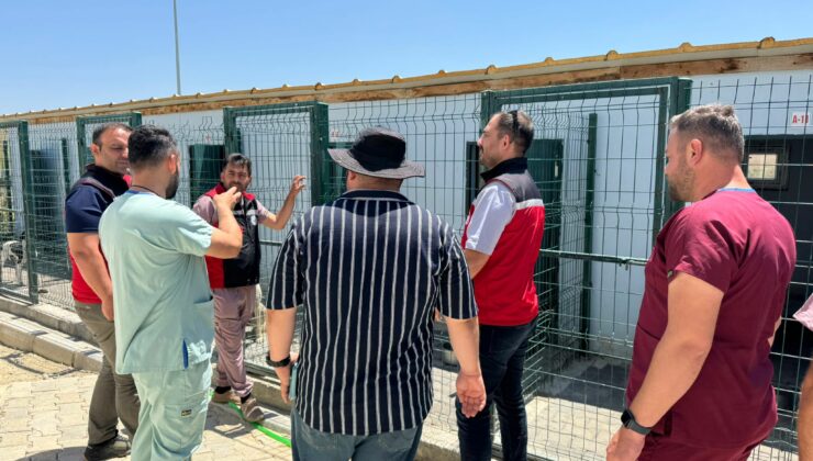 Kapadokya Bakımevinde Rutin Veteriner Denetimi Yapıldı