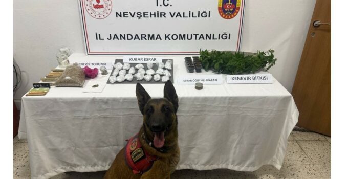 Nevşehir’de Jandarmadan Uyuşturucu Operasyonu: Kenevir ve Esrar Ele Geçirildi