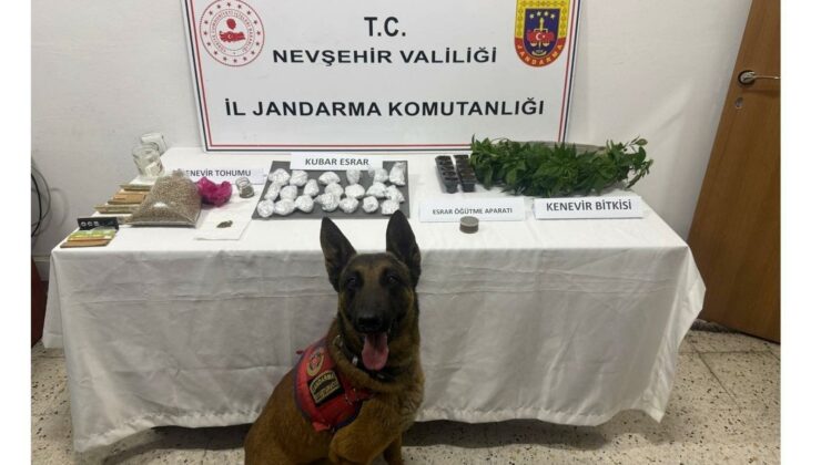 Nevşehir’de Jandarmadan Uyuşturucu Operasyonu: Kenevir ve Esrar Ele Geçirildi