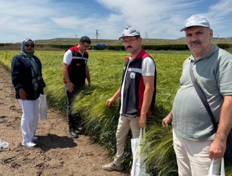 Yerli ve Milli Çeşitler Tarla Gününde Tanıtıldı
