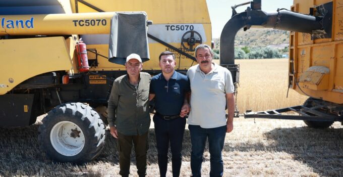 Belediye Başkanı Rasim Arı, Balcın Köyü’nde Hasat Yaptı