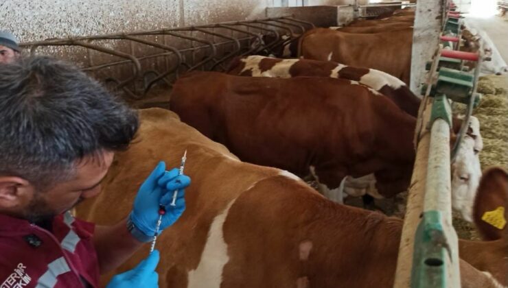 Hacıbektaş’ta Numune Alma İşlemleri Gerçekleştirildi