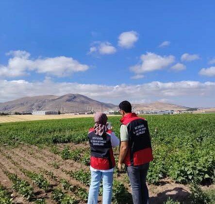 Nevşehir’de Uzaktan Algılama İle Ürün Tespit Çalışmaları Sürüyor