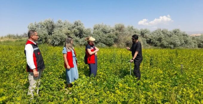 Nevşehir’de Fasulye Üretim Alanlarında Saha Çalışması Yapıldı