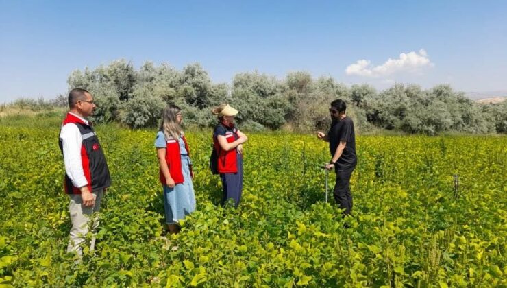 Nevşehir’de Fasulye Üretim Alanlarında Saha Çalışması Yapıldı