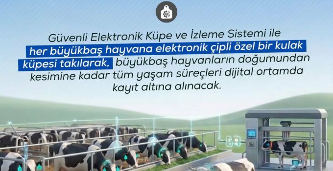 Hayvancılıkta Yerli Teknolojiyle Dijital Takip Dönemi