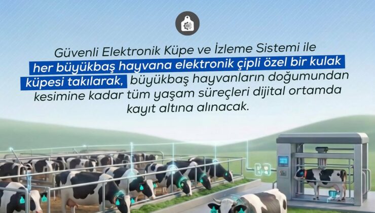 Hayvancılıkta Yerli Teknolojiyle Dijital Takip Dönemi
