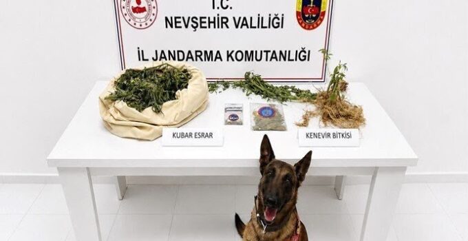 Nevşehir’de Uyuşturucu Operasyonu: Kenevir ve Esrar Ele Geçirildi