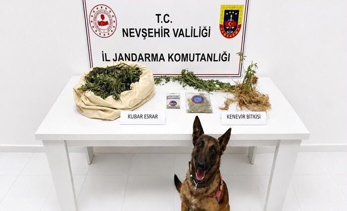 Nevşehir’de Uyuşturucu Operasyonu: Kenevir ve Esrar Ele Geçirildi