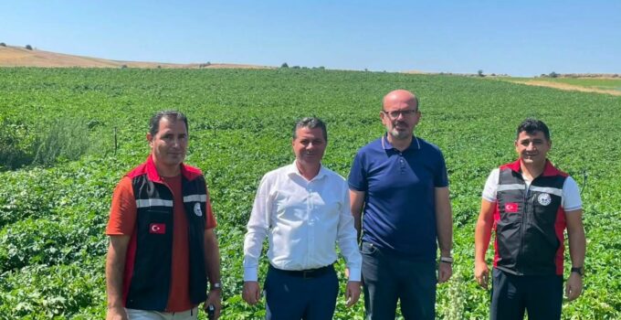 Nevşehir’de Patates Üretim Alanları İncelendi