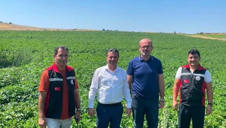 Nevşehir’de Patates Üretim Alanları İncelendi