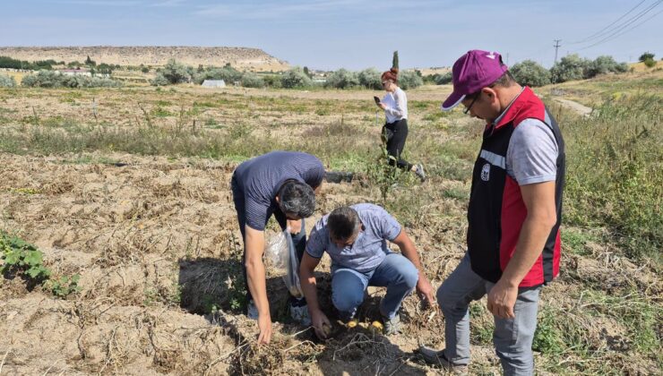 Nevşehir’de 1.325 Dekarlık Alanda İyi Tarım Kontrolü